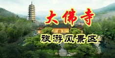 大阴茎操小穴视频网站中国浙江-新昌大佛寺旅游风景区